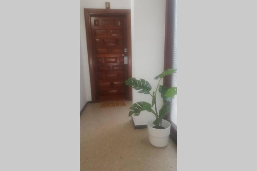 Appartamento Victoria 51. Las Palmas de Gran Canaria Esterno foto